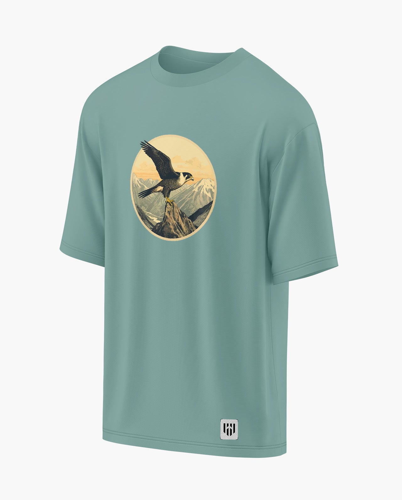 FALCON CORE Oversized T-Shirt