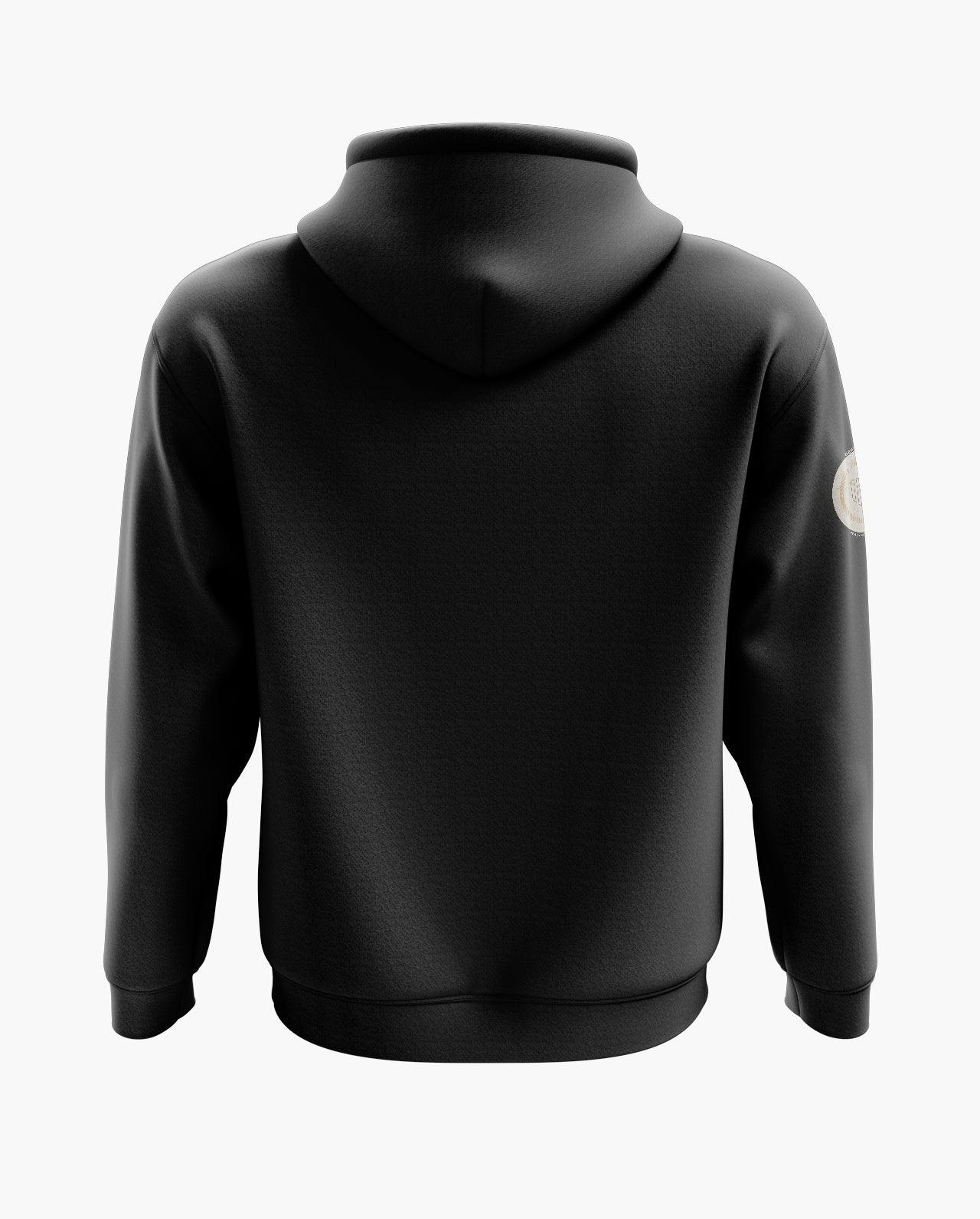 India Tricolour Hoodie